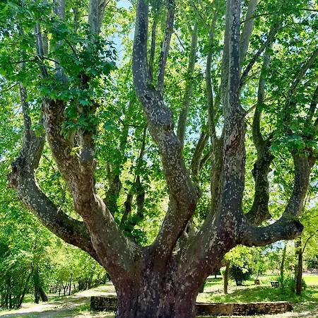 Le Vieux Moulin בית נופש *