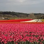 Le Vieux Moulin Casa vacanze *