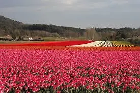 Le Vieux Moulin Casa vacanze *
