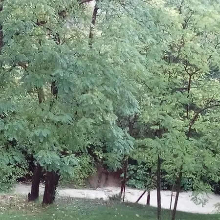 Le Vieux Moulin Casa vacanze